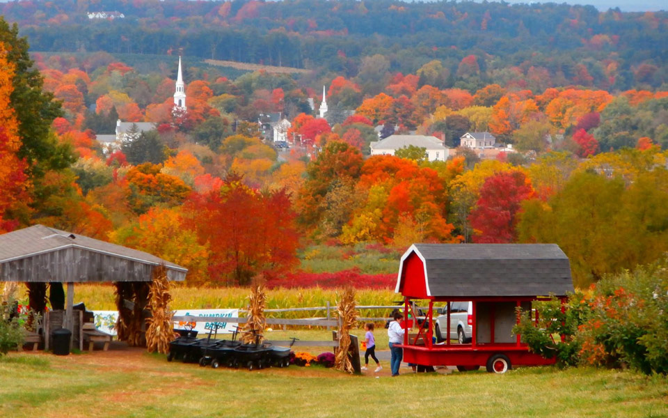 Sentry Real Estate The Leaders in CT Real Estate