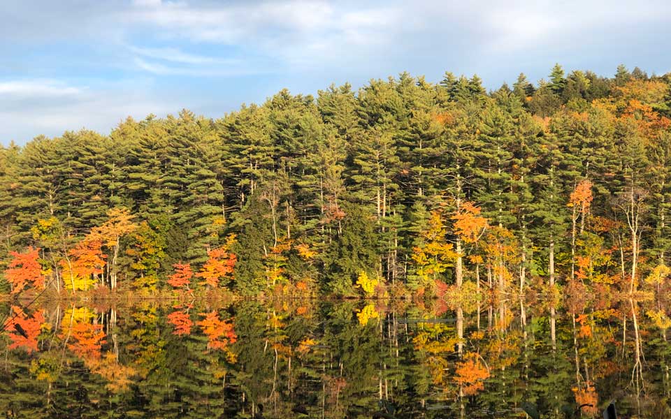 to Seven Lakes Real Estate, LLC