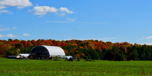 Georgia Real Estate For Sale