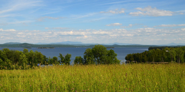 Grand Isle Real Estate For Sale