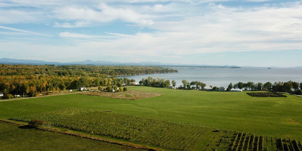 South Hero Real Estate For Sale