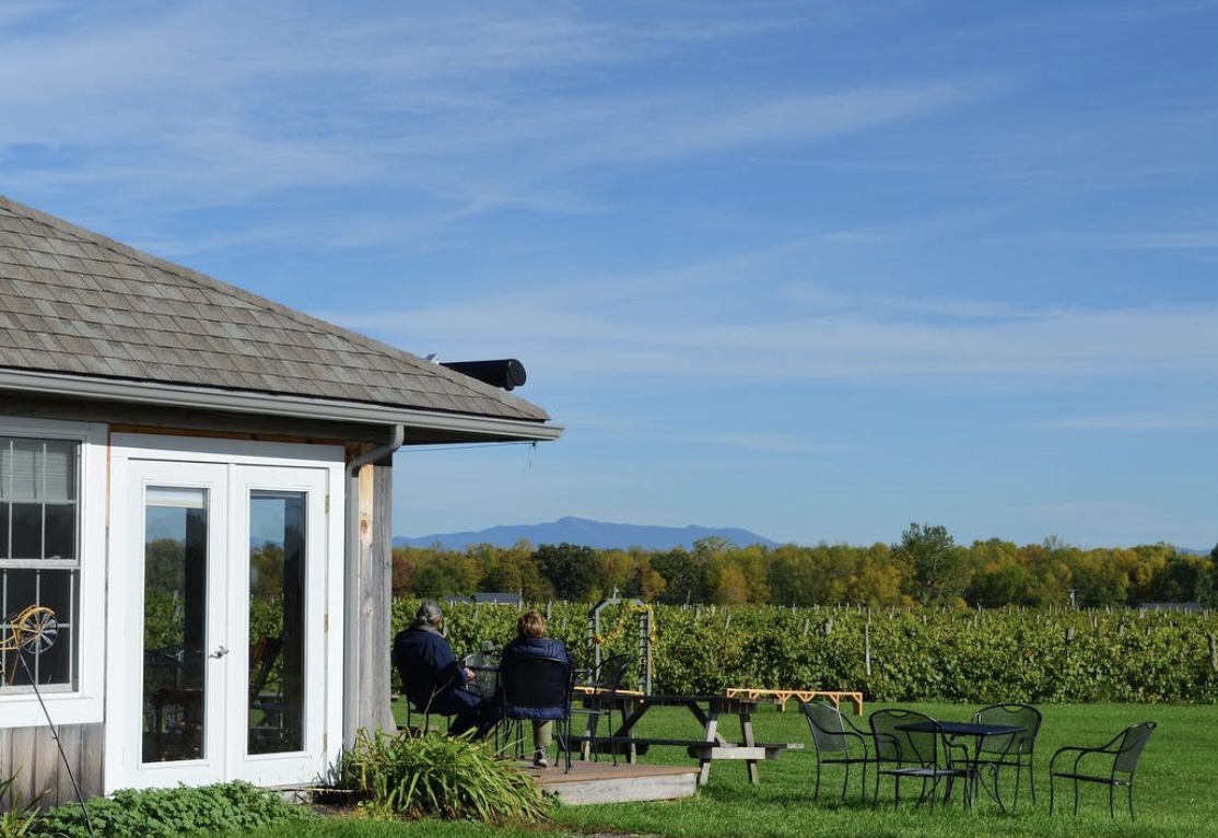 Snow Farm Vineyard in South Hero, Vermont