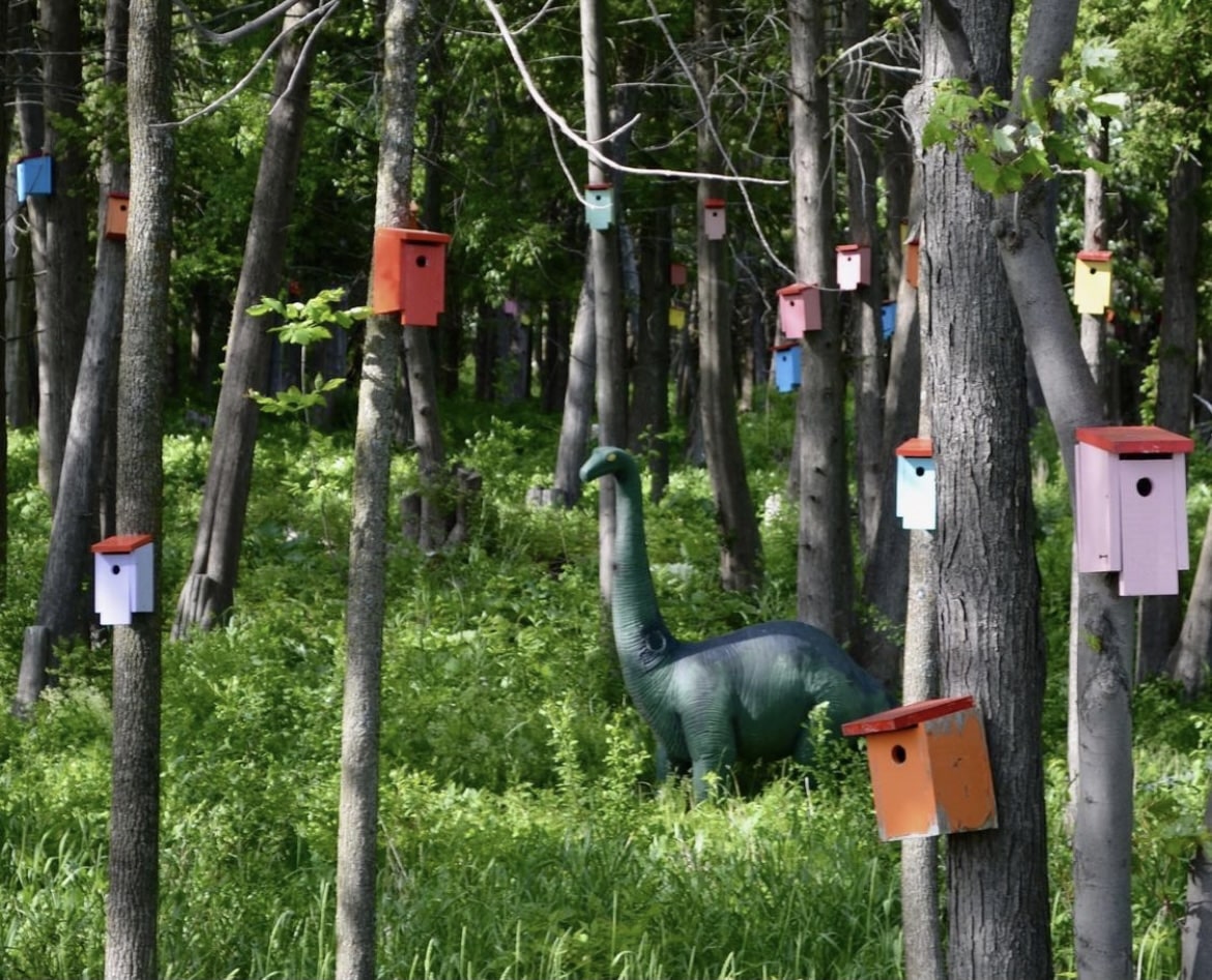 Colorful Bird House Forest in South Hero, Vermont