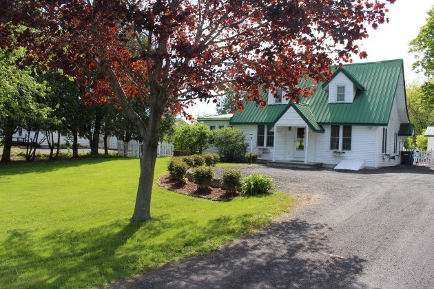 driveway with shrubs and trees