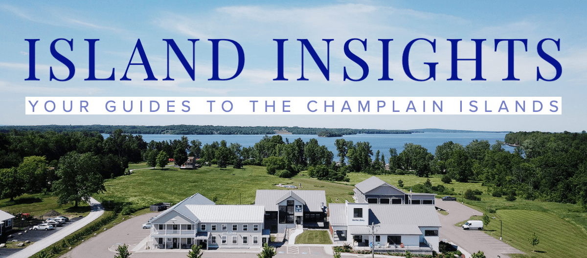 'Island Insights Newsletter' Drone photo of 38 Community Lane