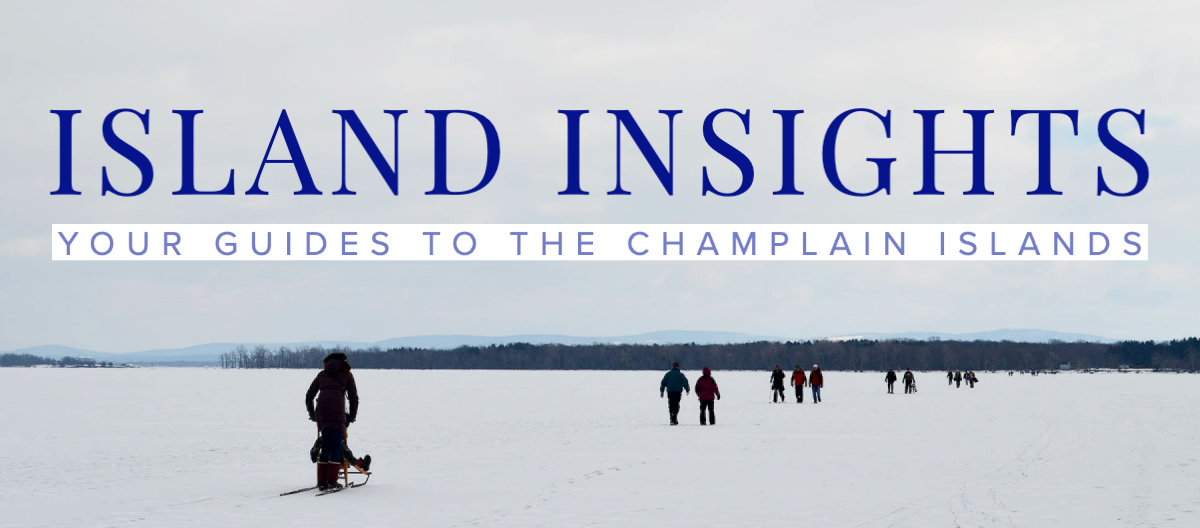 Newsletter graphic of frozen lake