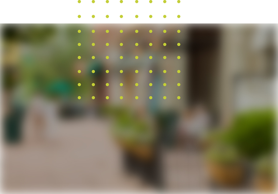 Video Background Image of Suburbs Near NYC