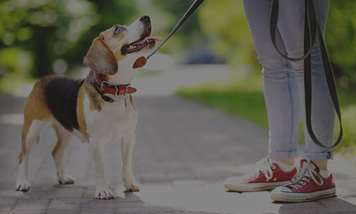 Search Suburubs Near NYC