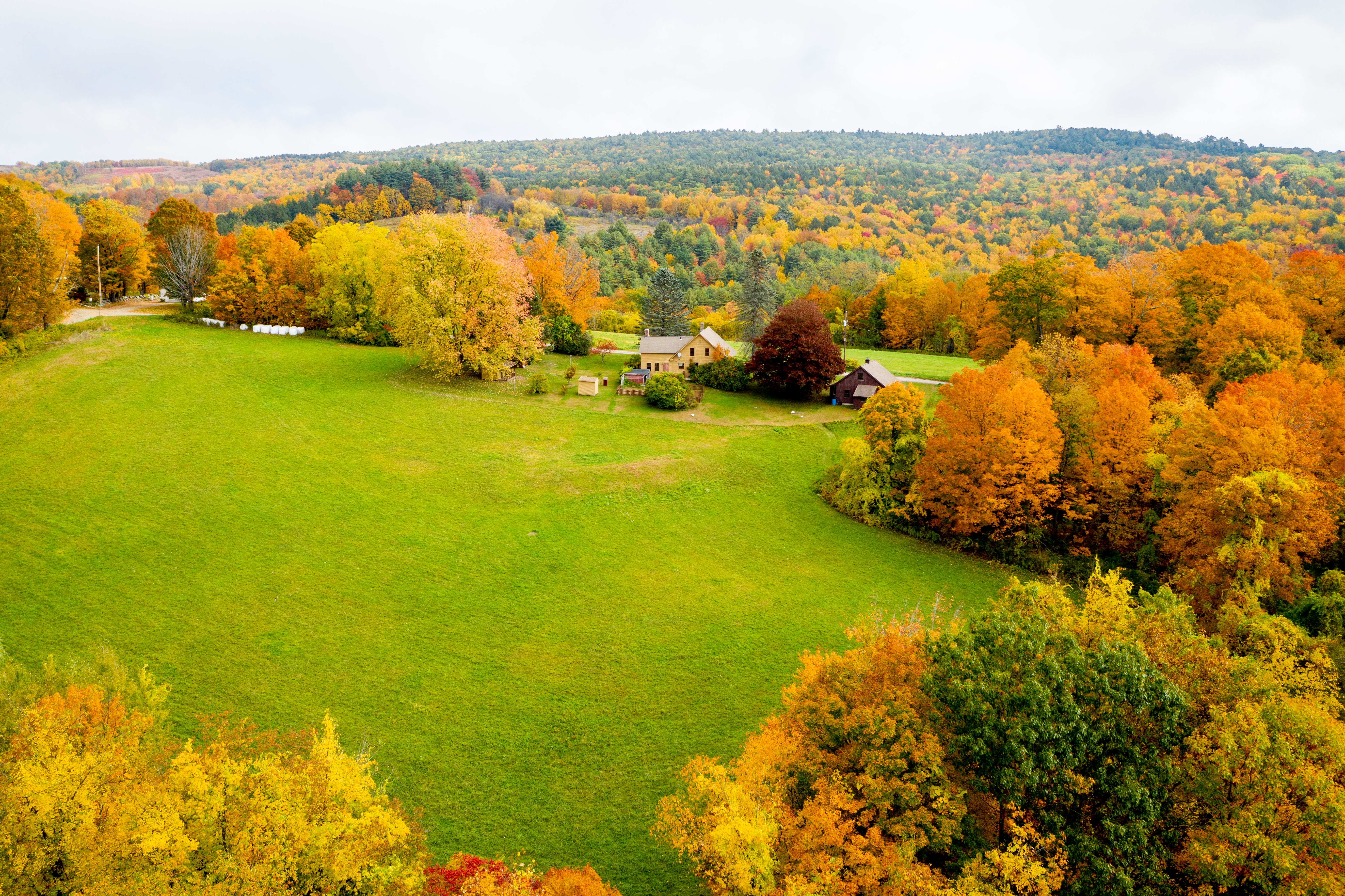 Foliage October Hikes State Forests