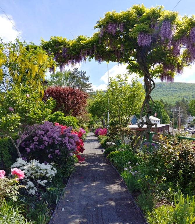bridge of flowers reopening shelburne falls mass