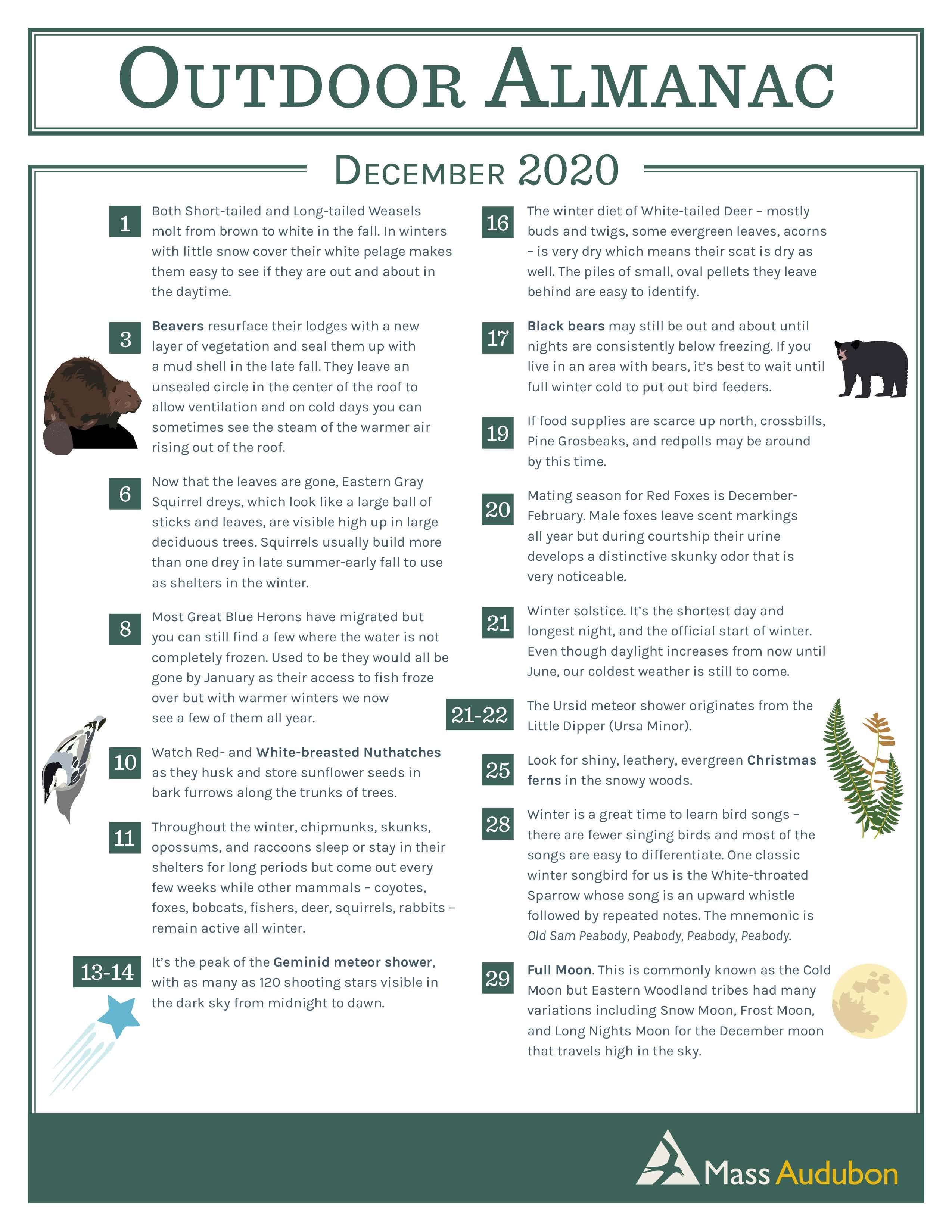 december 2020 outdoor almanac mass audubon