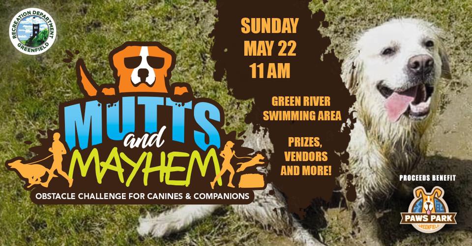 mutts and mayhem greenfield massachusetts