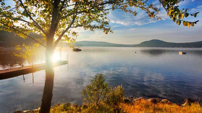 Waterfront Propreties