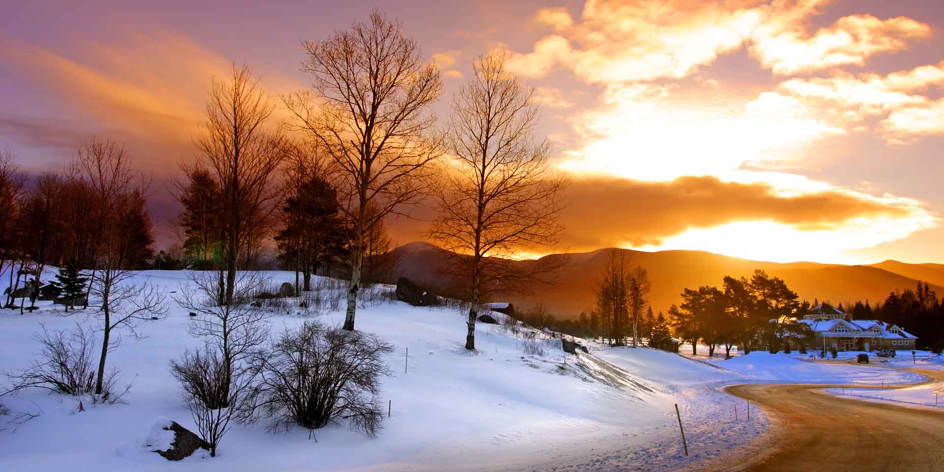 Recommended Searches