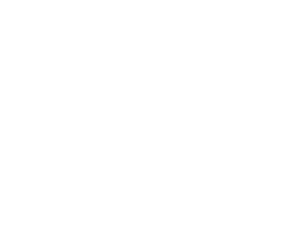 Dolan Real Estate logo