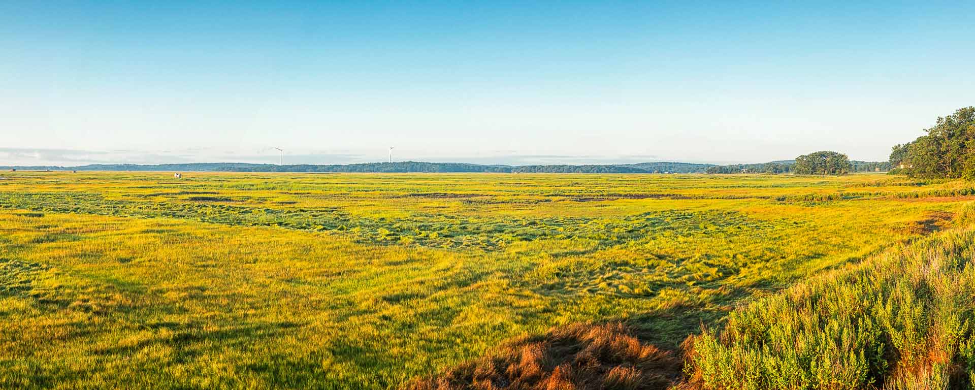 Recommended Searches