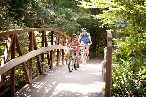 Asheville Area Kid Adventures