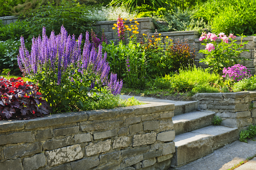 Asheville Greenworks Garden Program Promotes Pollinator Habitats