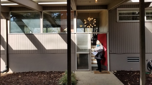 Carol Marin Asheville Real Estate Agent