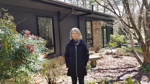Carol Marin Midcentury Modern Asheville