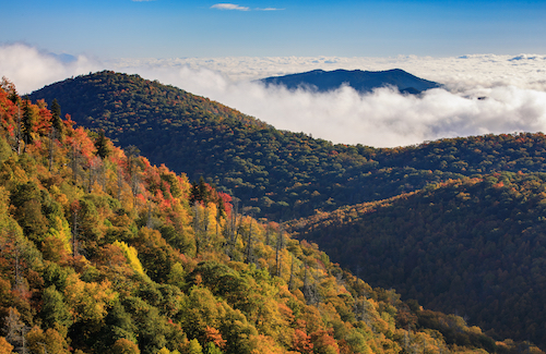 Leaf Season Hikes Around Asheville