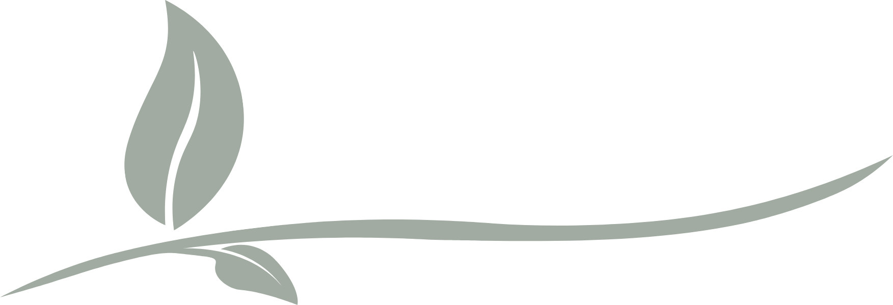 big leaf background two