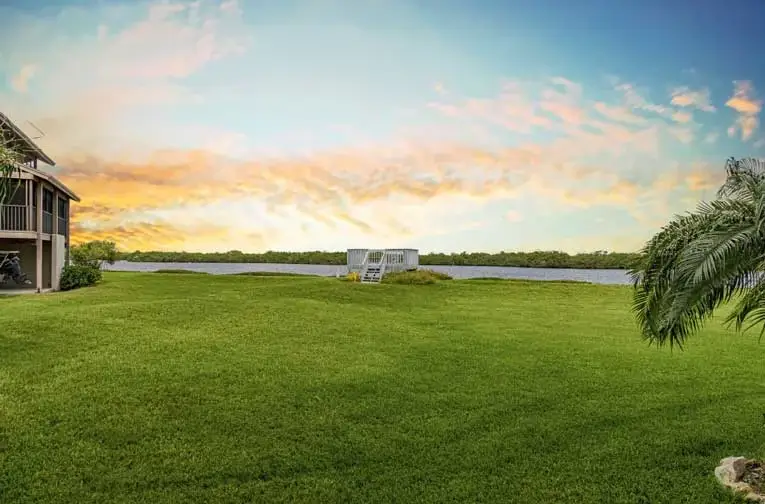 grassy lawn