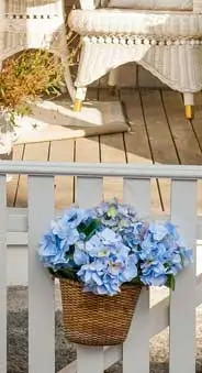 flower background