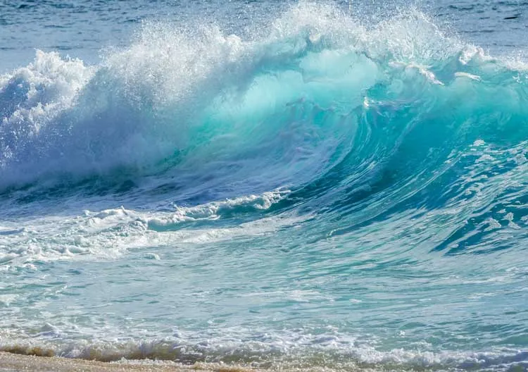 wave one background