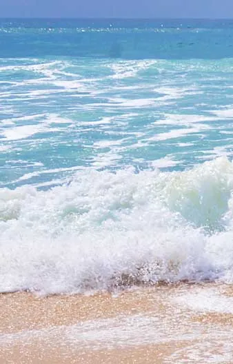 wave two background