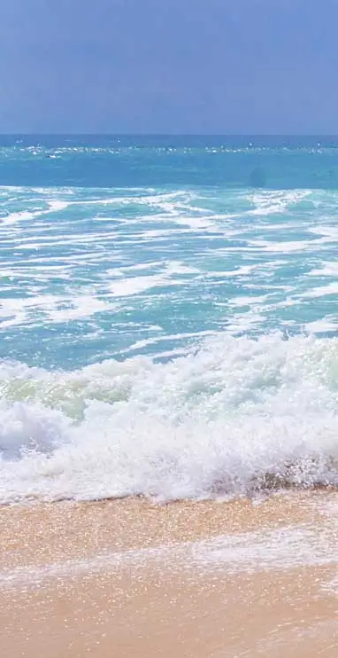 wave two background