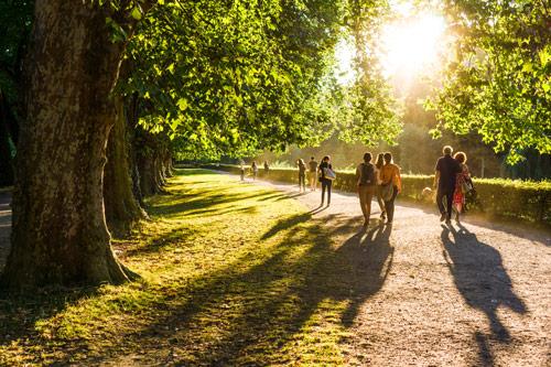 Group of people walking on path in forest