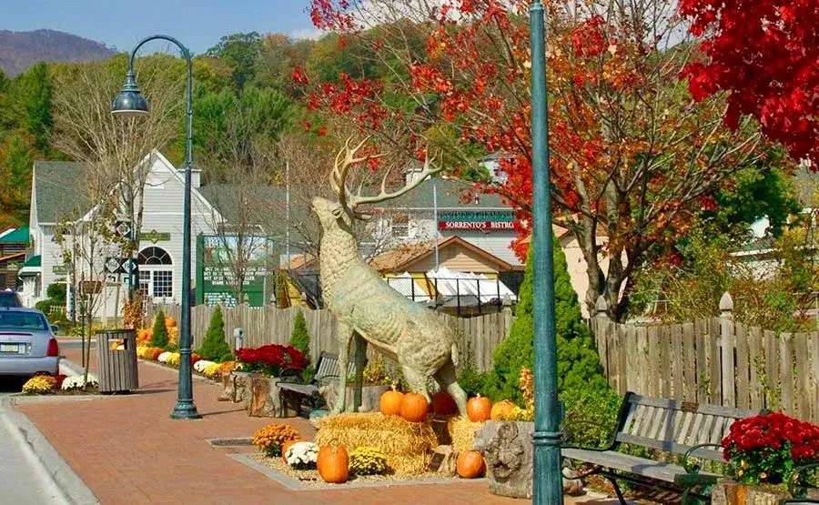 Marion street view