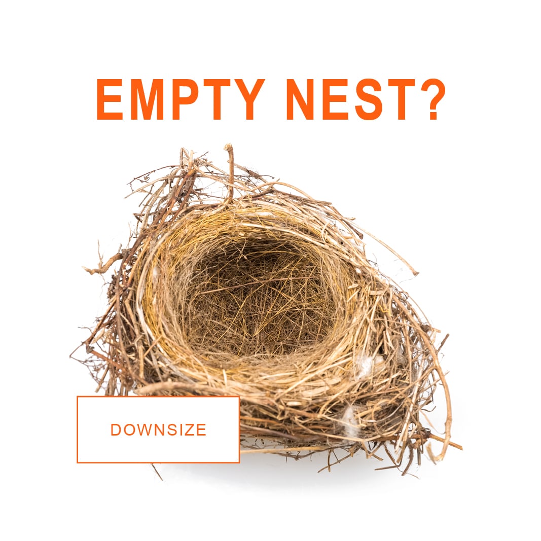 Nest