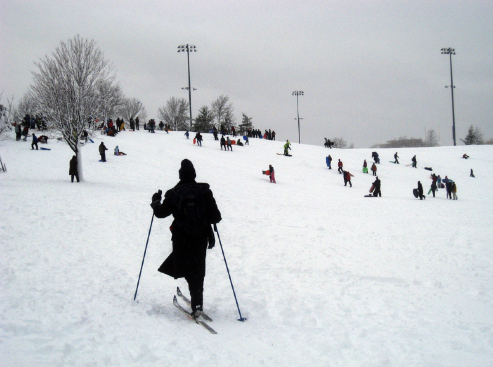Skiers on a hill