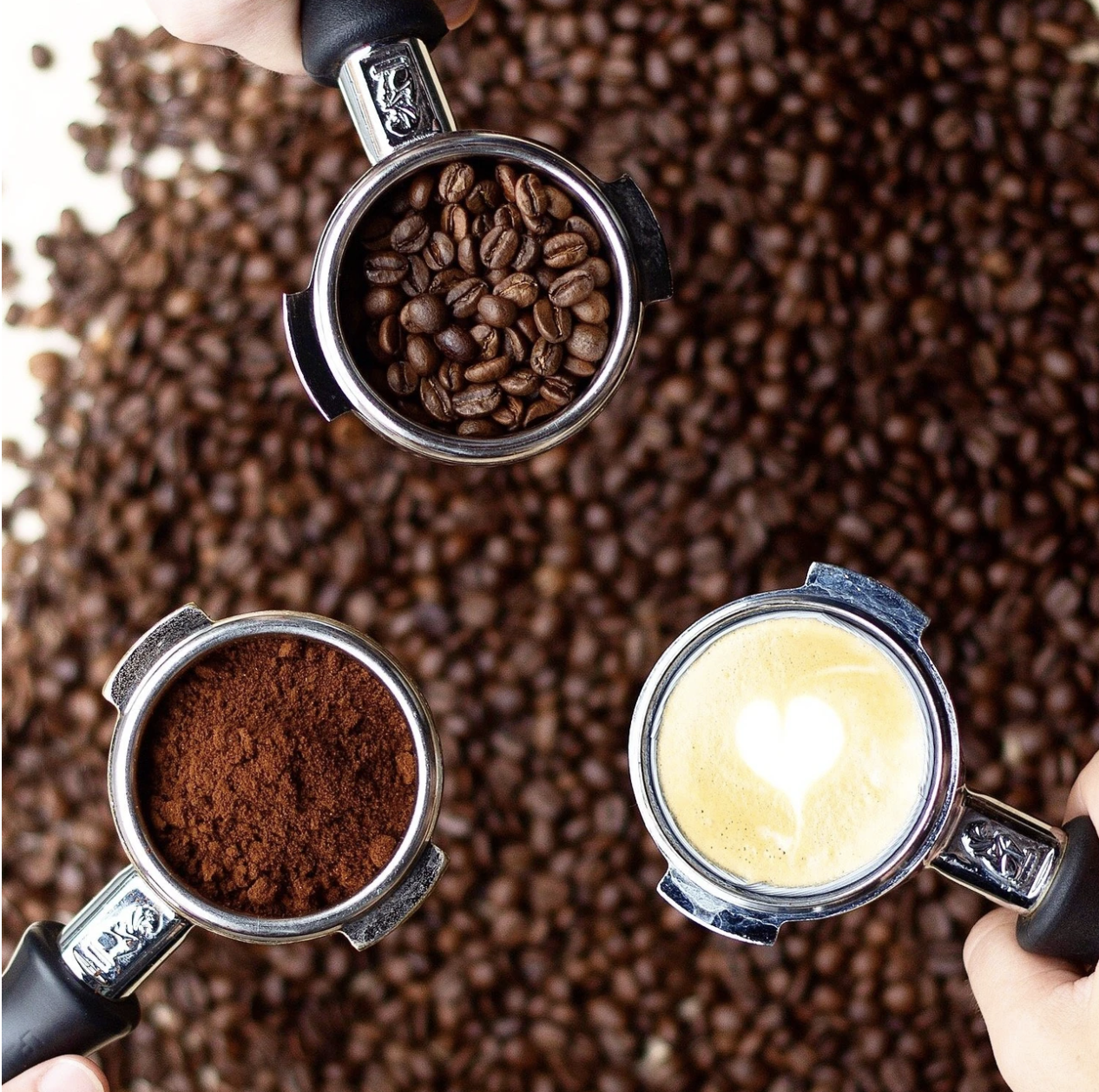 Coffee 101 with LampLighter Brewery