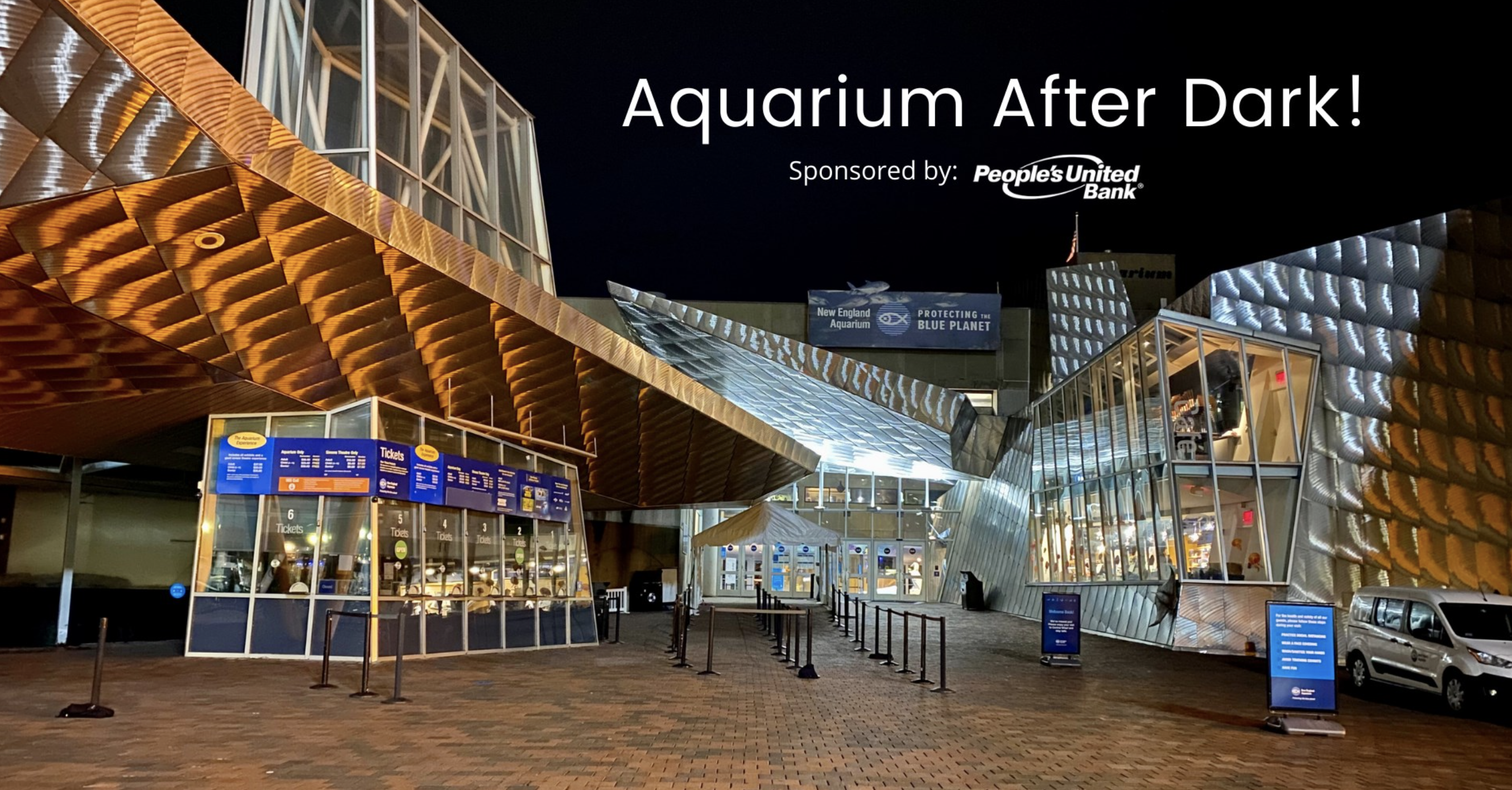 Aquarium After Dark