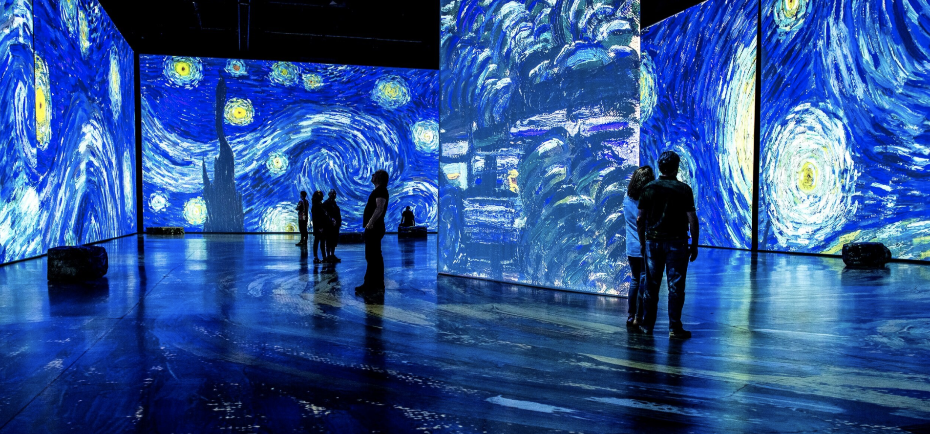 Imagine Van Gogh at SoWa