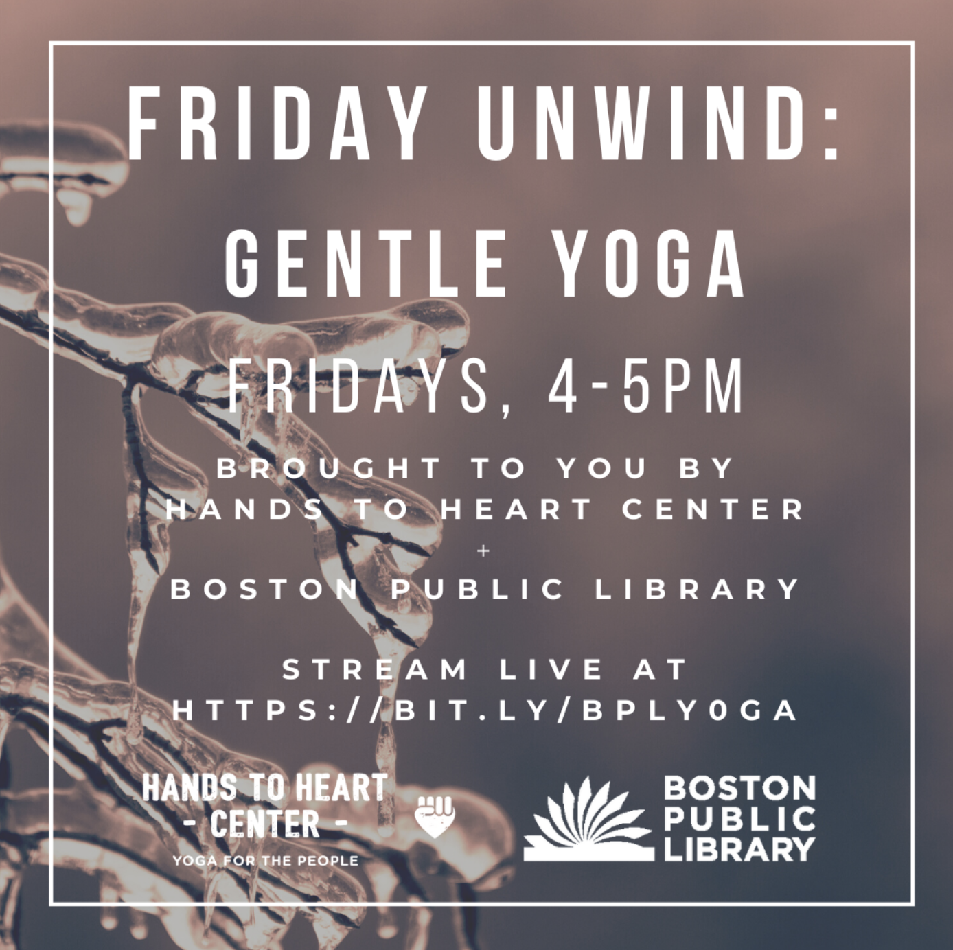 Friday Unwind: Gentle Yoga