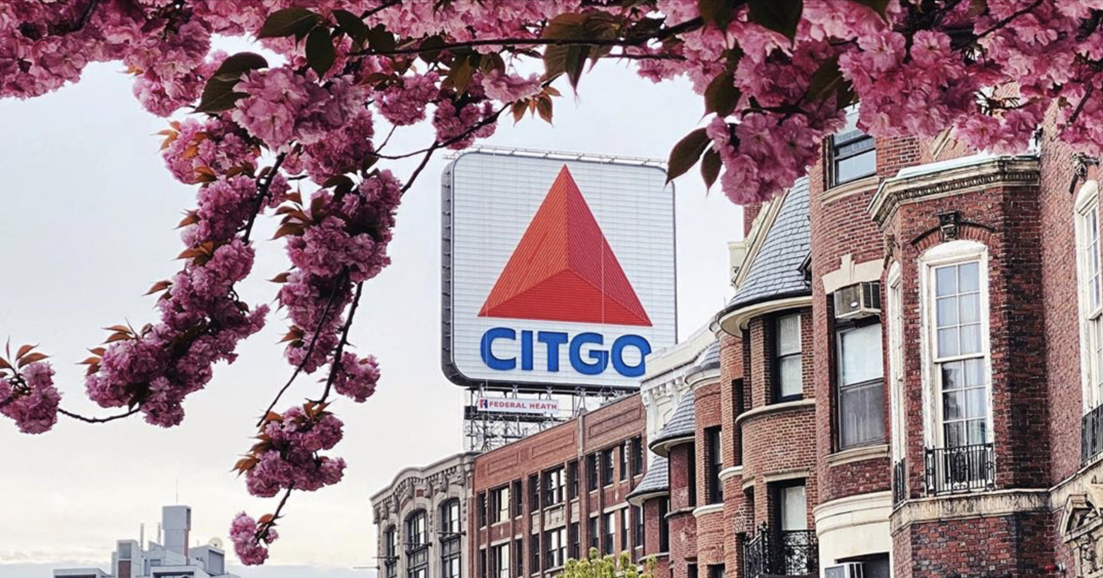 Spring Blooms in Boston