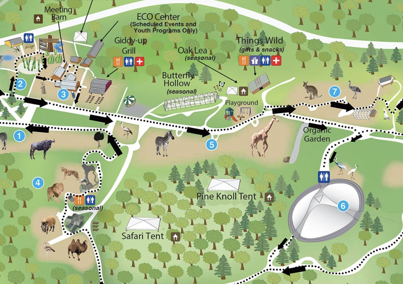 Franklin Park Zoo in Dorchester