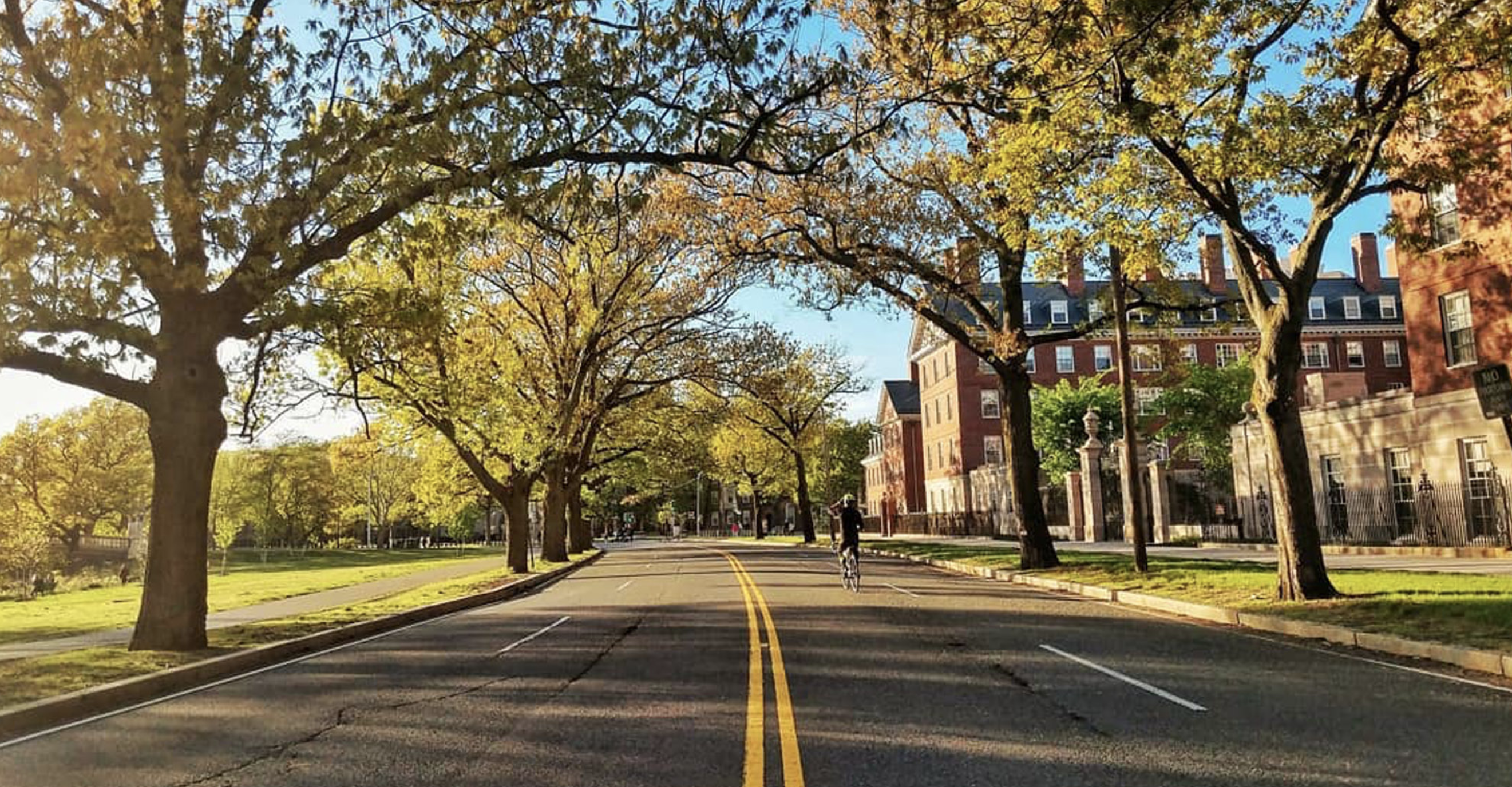 Memorial Drive Recreation Sundays 