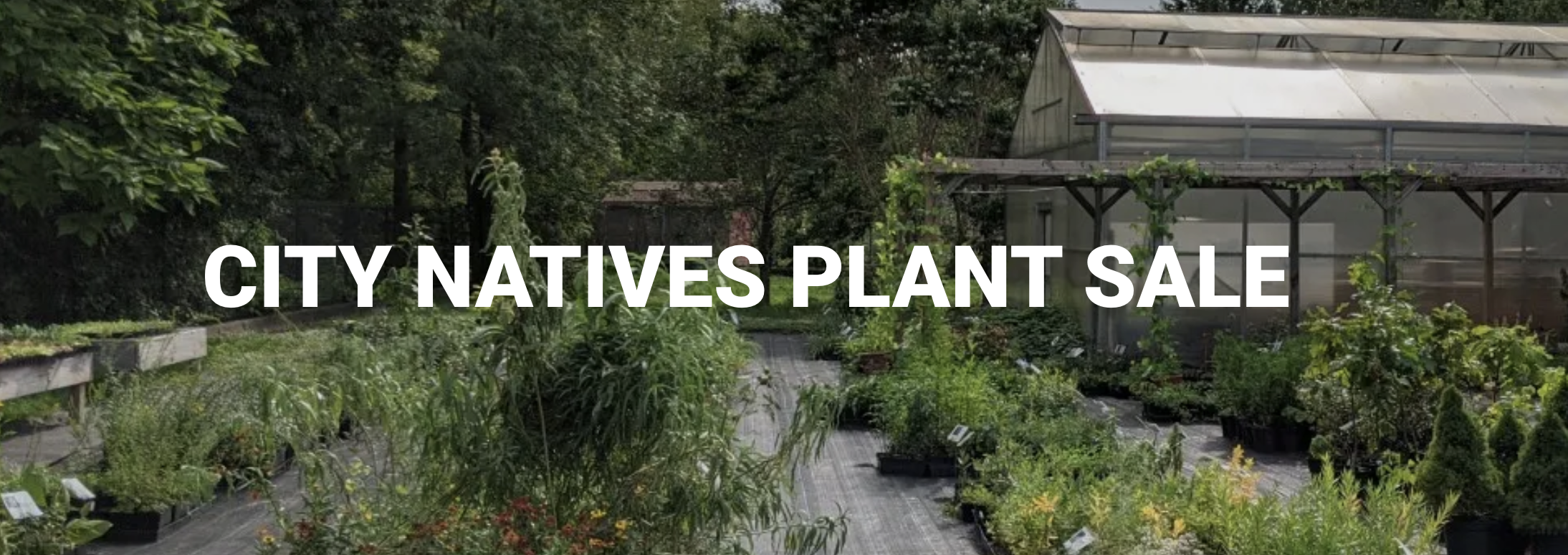 City Natives Plant Sale 