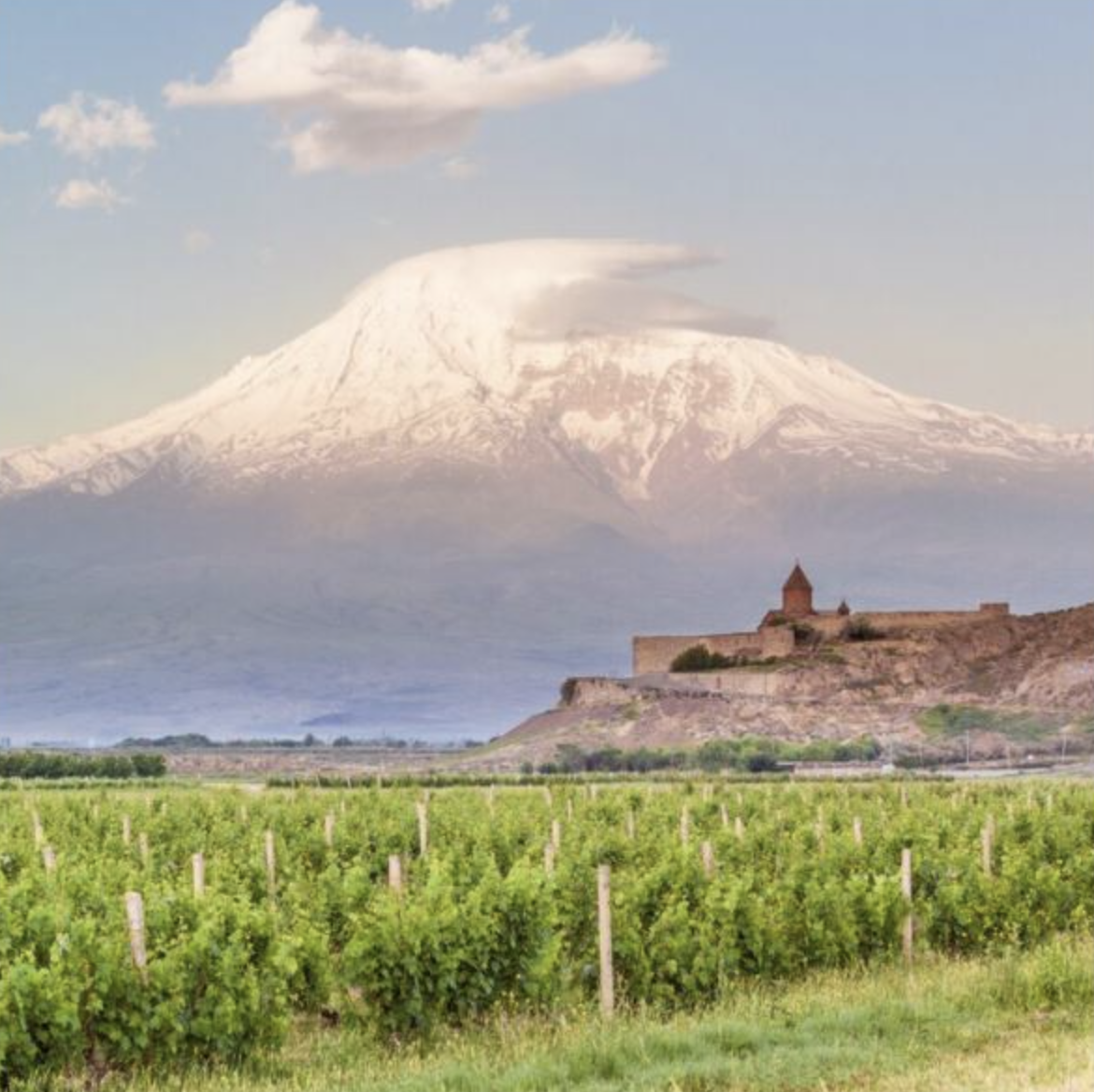 Wines of Armenia