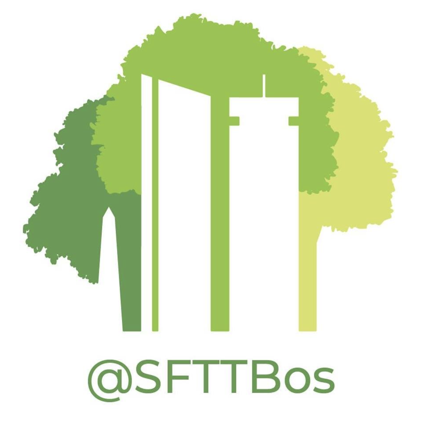 Savor the Square: Tree Giveaway