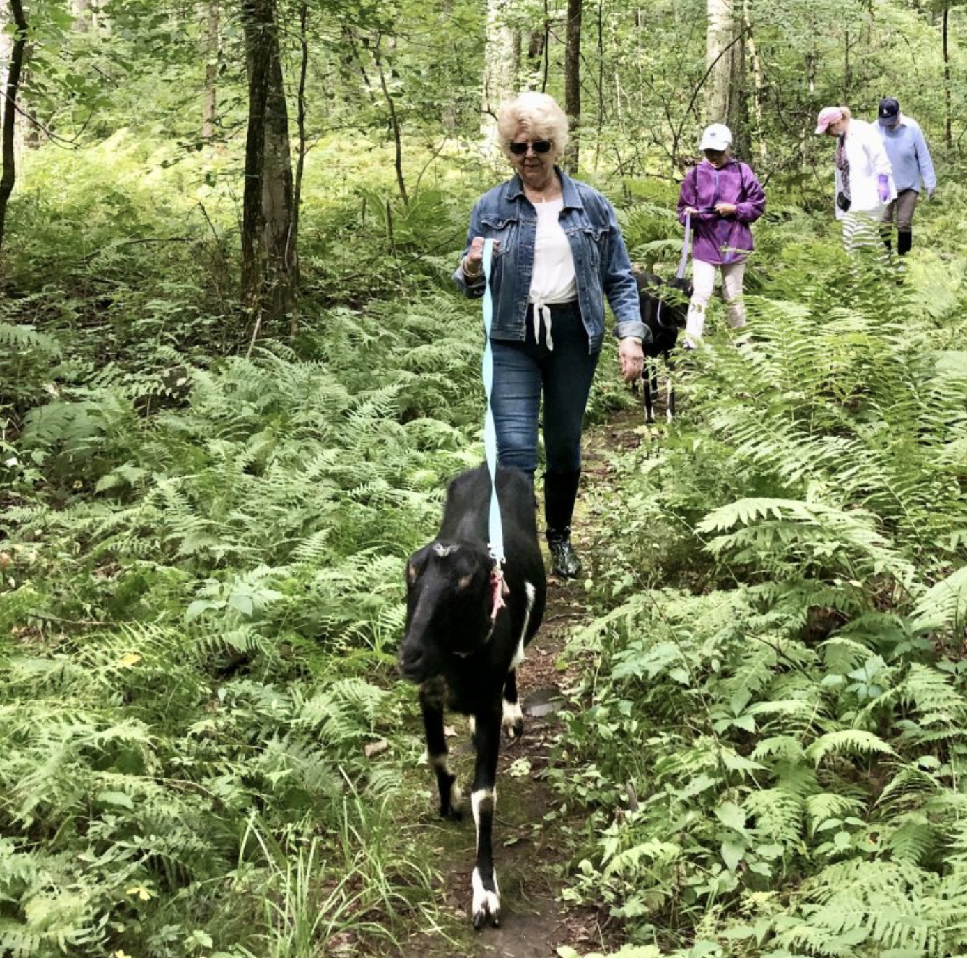 Hiking with Goats at Chestnut Hill Farm