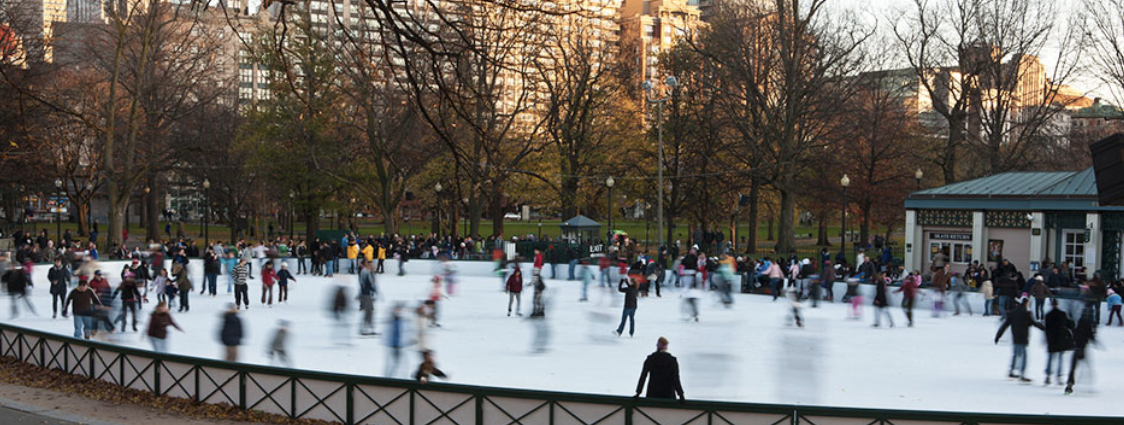 Frog Pond at Boston Common