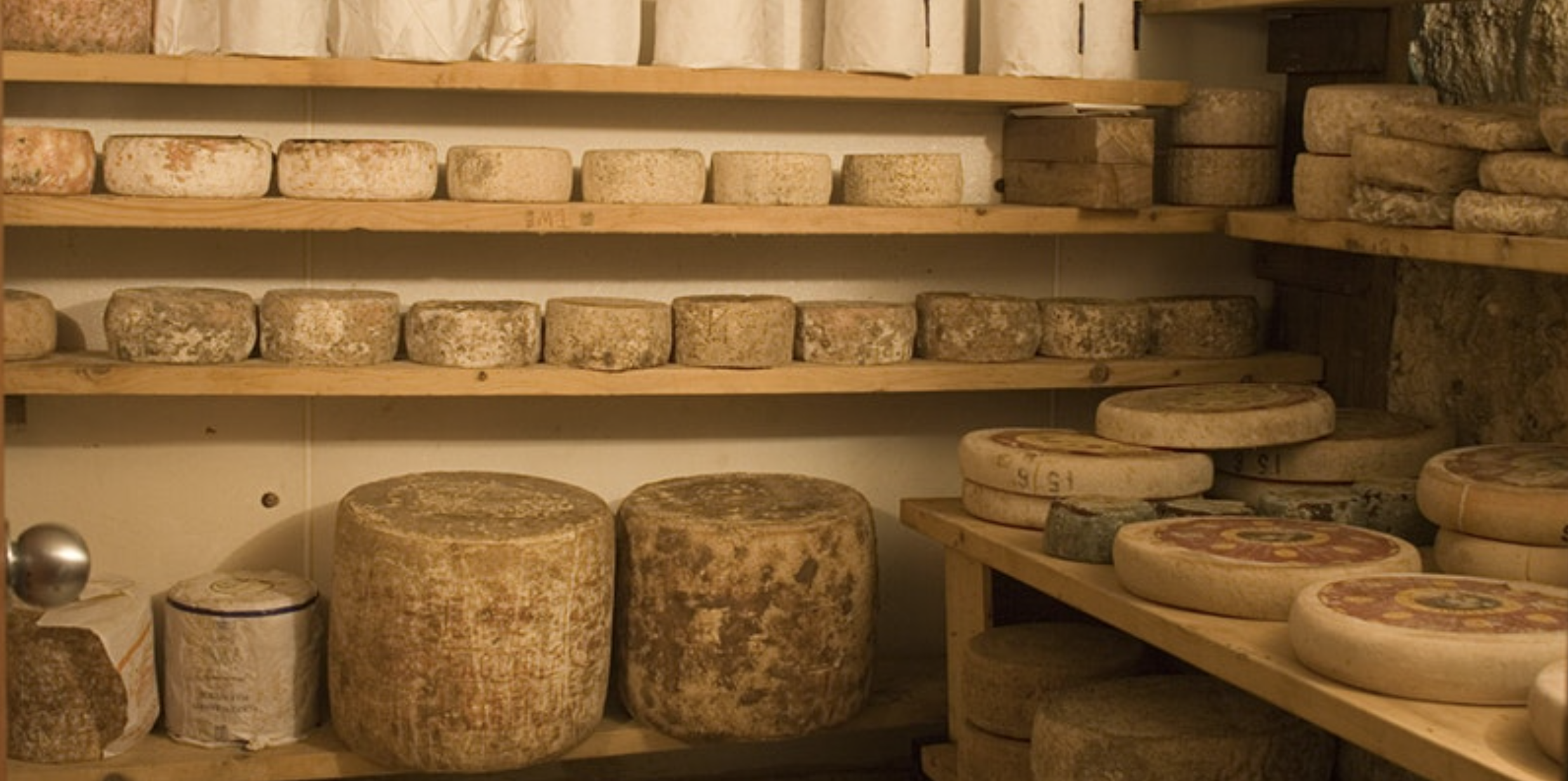 Brave The Caves at Formaggio Cambridge MA