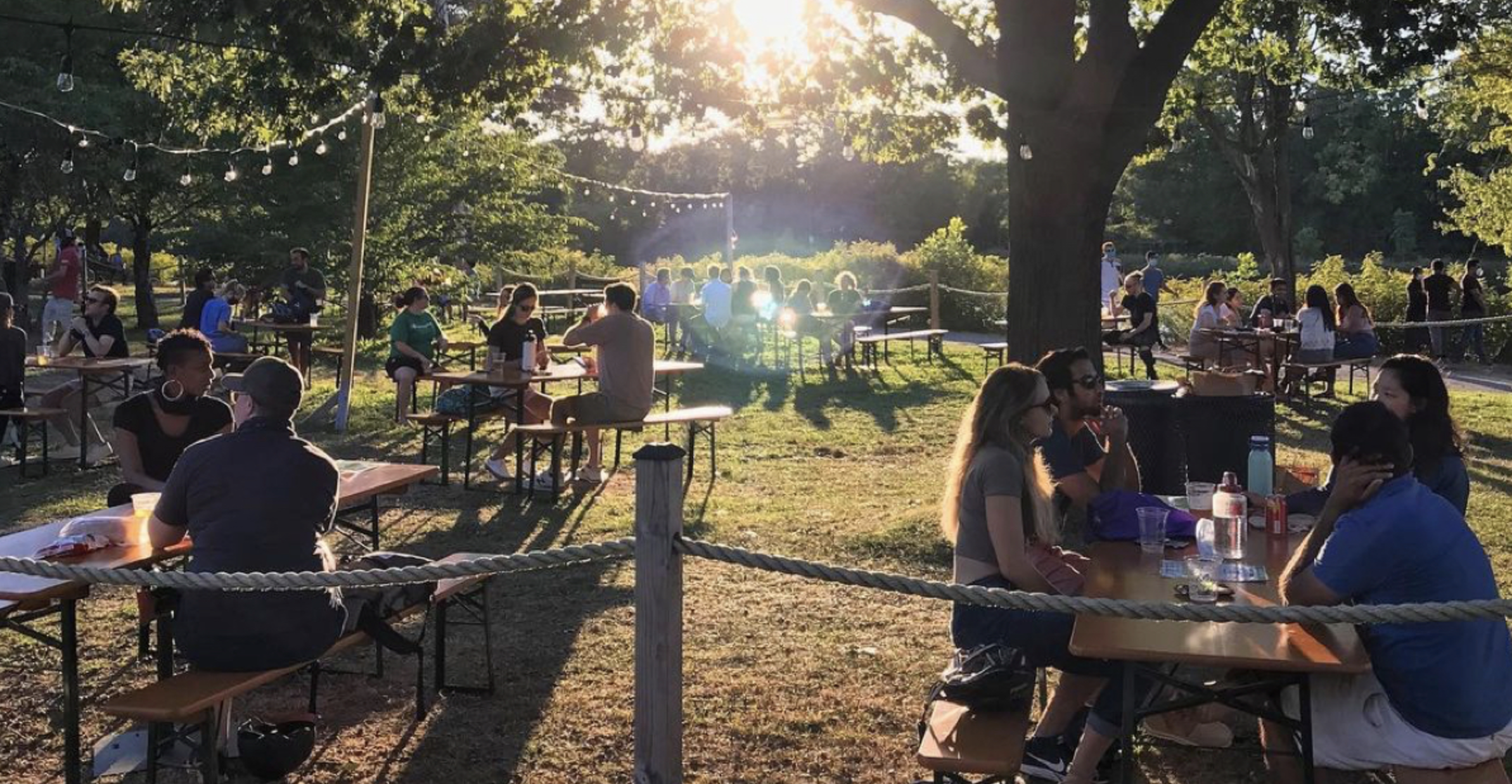 Owl's Nest on the Esplanade