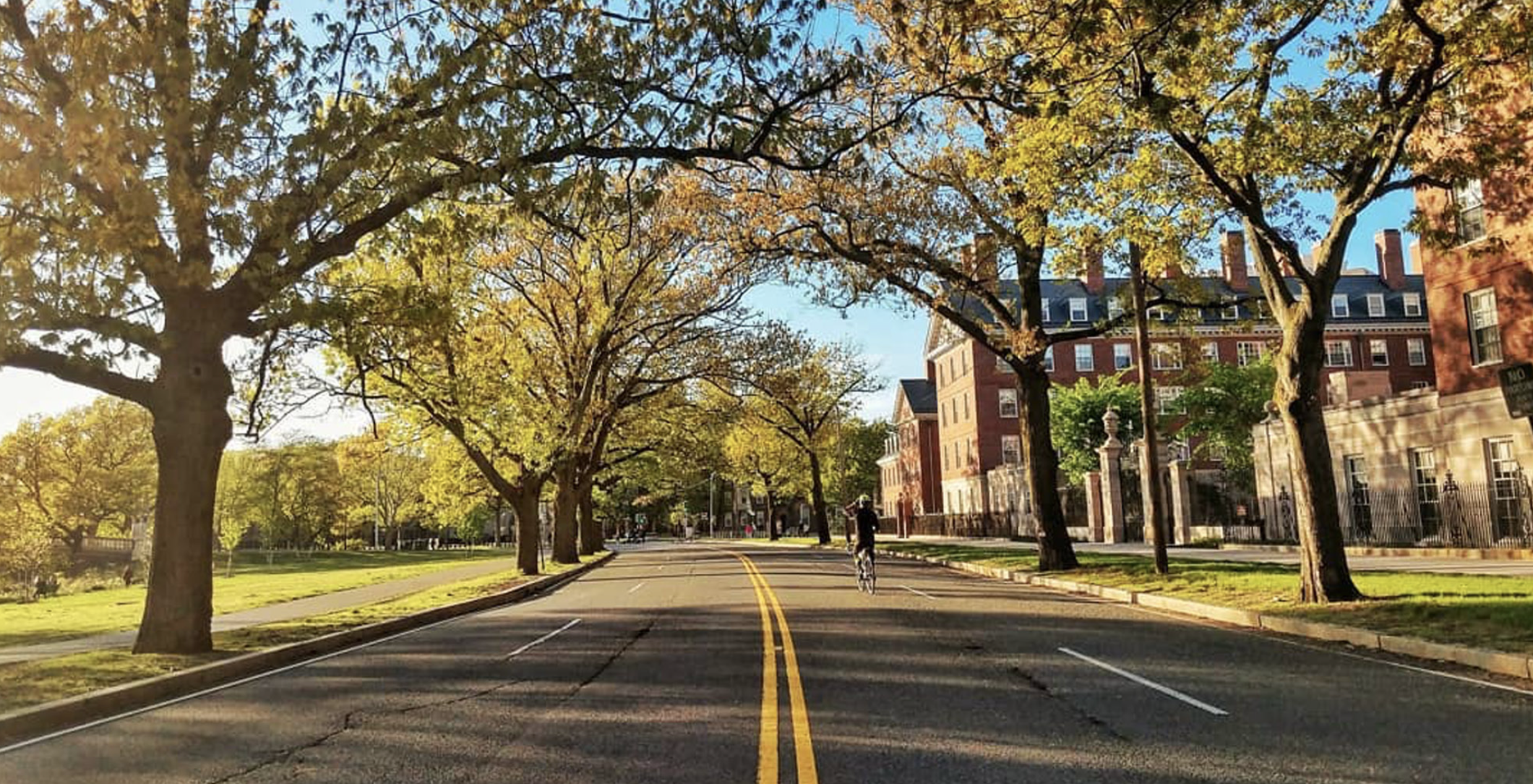 Memorial Drive Recreation Sundays